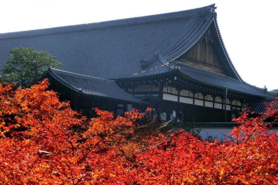 Yutaka Hotel Kyoto Eksteriør billede